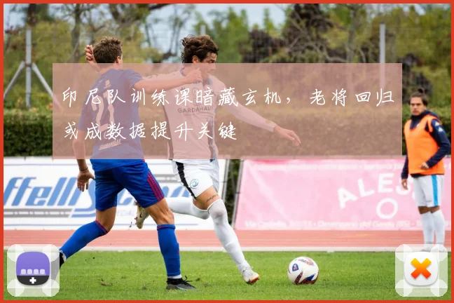 印尼队训练课暗藏玄机,老将回归或成数据提升关键 - 搜狐体育推荐
