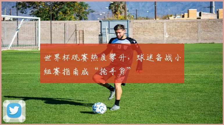 世界杯观赛热度攀升,球迷备战小组赛指南成“抢手货” - 搜狐体育推荐