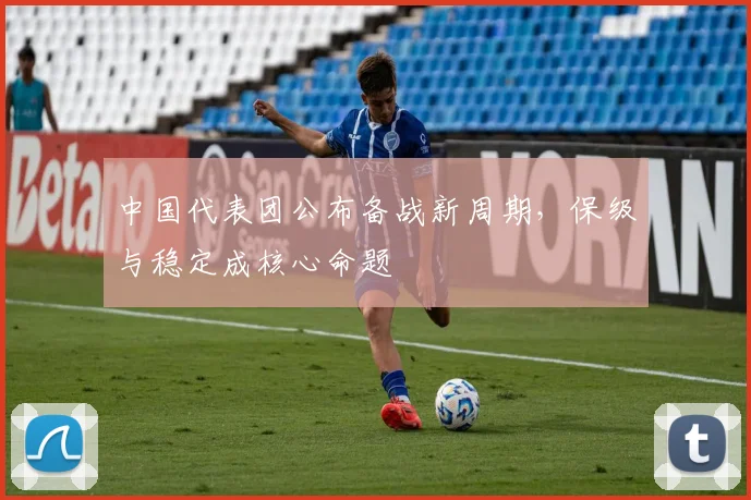 中国代表团公布备战新周期,保级与稳定成核心命题 - 搜狐体育推荐
