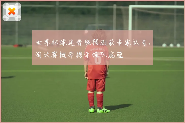 世界杯球迷晋级预测获专家认可,淘汰赛概率揭示强队底蕴 - 搜狐体育推荐