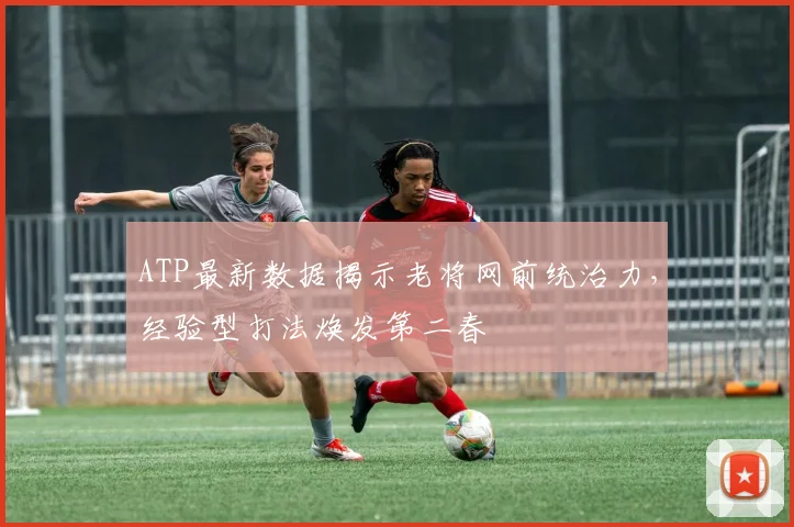 ATP最新数据揭示老将网前统治力,经验型打法焕发第二春 - 搜狐体育推荐